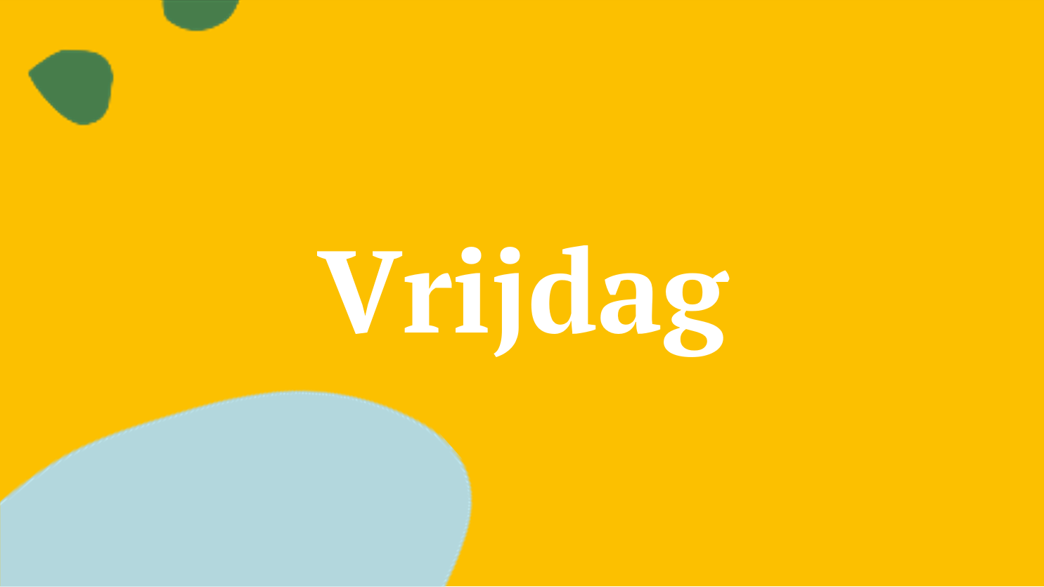 programma vrijdag