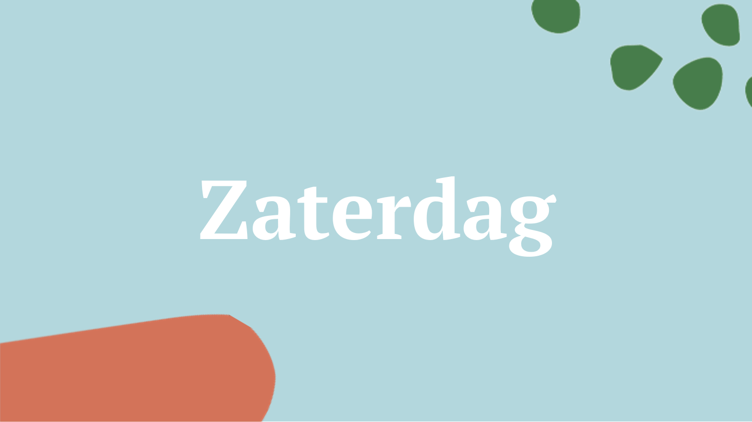 programma zaterdag