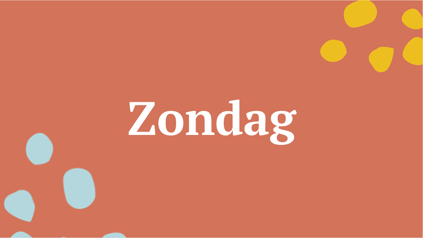 programma zondag